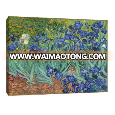 Handpainted oil painting art painted on canvas van gogh Irises